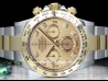 Rolex Cosmograph Daytona  Watch  116503-09